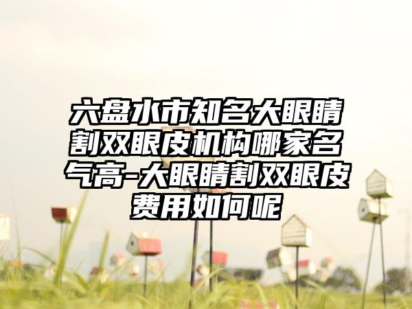 六盤水市知名大眼睛割雙眼皮機構哪家名氣高-大眼睛割雙眼皮費用如何呢