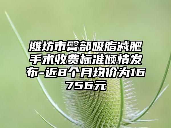 濰坊市臀部吸脂減肥手術(shù)收費(fèi)標(biāo)準(zhǔn)傾情發(fā)布-近8個(gè)月均價(jià)為16756元